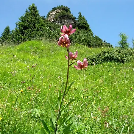 Apartman Haus Sonnleite