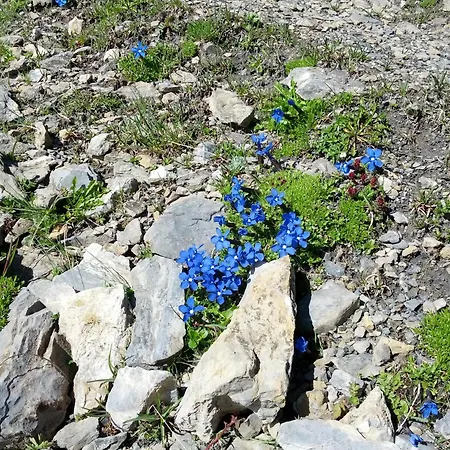 Apartman Haus Sonnleite *