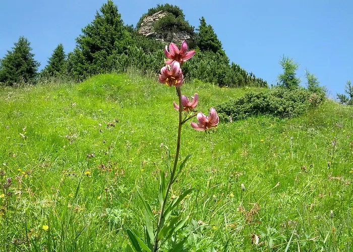 Apartman Haus Sonnleite