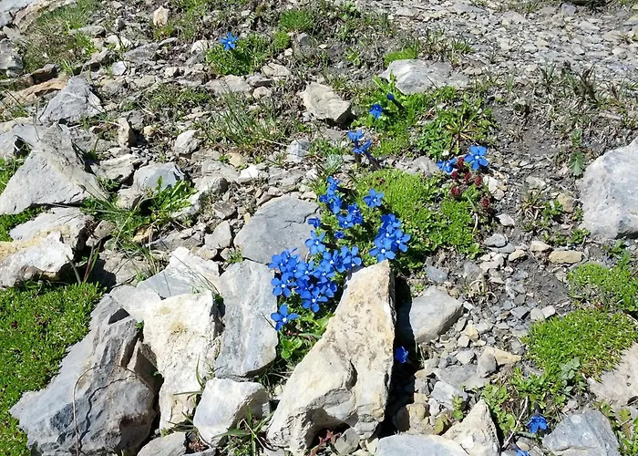 Apartman Haus Sonnleite *