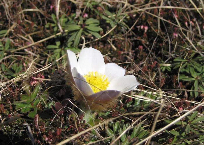 Apartman Haus Sonnleite Trins